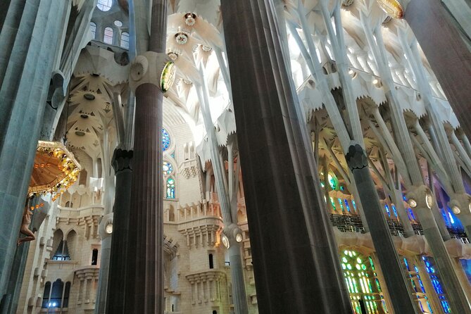 Sagrada Familia and Park Guell Guided Tour with Transport - What the guide adds to the experience