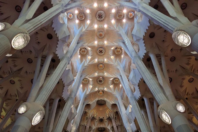Sagrada Familia Skip-the-Line Private Tour with Guide - Meeting the Church on Av. de Gaudí