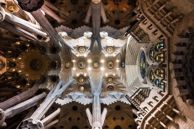 Sagrada Familia Skip the Line Tour Optional Small Group - Inside the basilica, look up