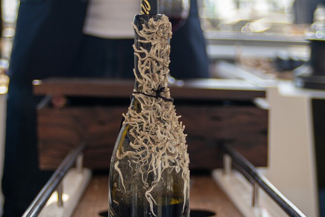 Sailing Tour and Tasting of Submarine wines on board - A Small Boat Setting With Room for Ten