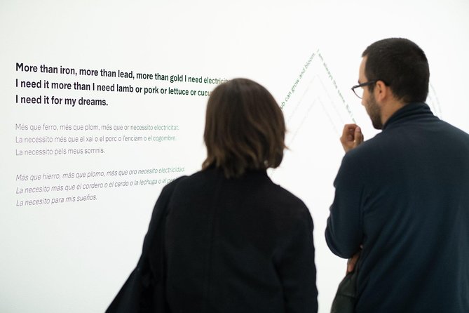 Skip the Line: Barcelona MACBA Museum of Contemporary Art Admission Ticket - Key points to know before visiting