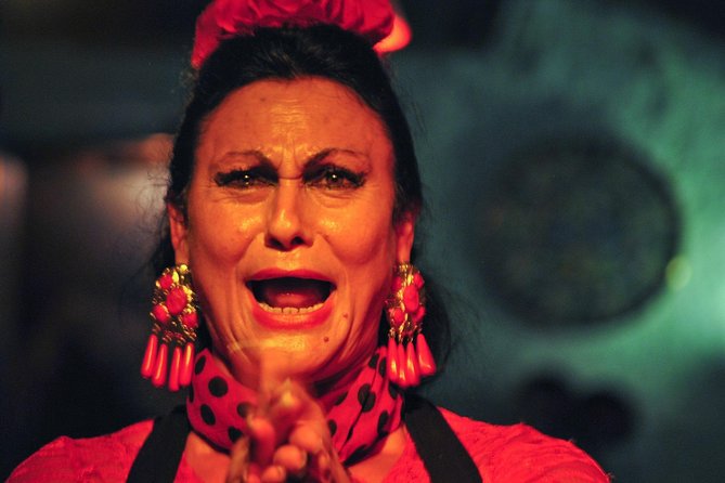 Tapas, Wine and Flamenco Private Tour in Barcelona - The guides can make the evening personal