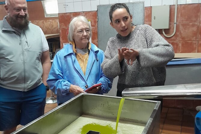Tarragona Culinary Experience: Olive Oil & Iberian Ham Delight - Walking through Roman Tarragona