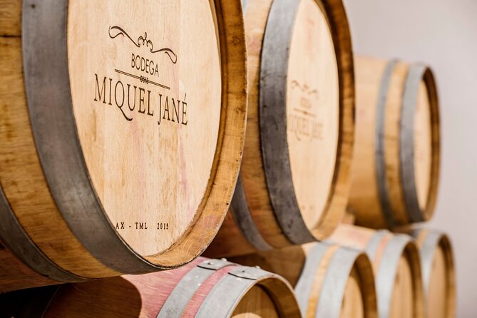 Viticulture and Wine-Tasting 3-Hour Trip from Barcelona - What this three-hour wine visit actually offers
