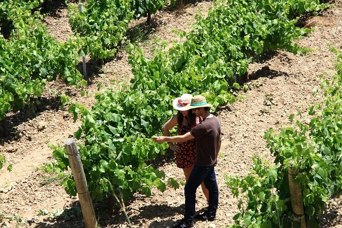 Viticulture and Wine-Tasting 3-Hour Trip from Barcelona - What to bring and what to arrange