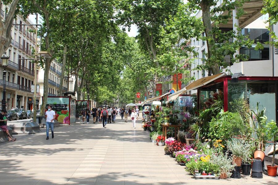 Walking Tour Gothic Quarter and Ramblas+Boat Trip - Plaça Nova and the Roman beginnings