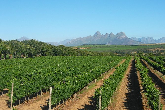 Wine & Cava Penedes Tour: Wineries, Wine Tasting and Tapas - Why the Penedès makes a good break from Barcelona