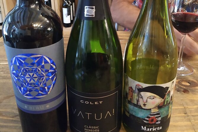 Wine Tasting Experience in Barcelona - Cheese, bread, olive oil, and the pairing lesson