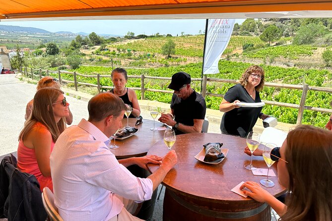 Wine Tasting in Three Boutique Wineries Tour - Max 8 people - Pares Baltà, organic wine, and biodynamic methods