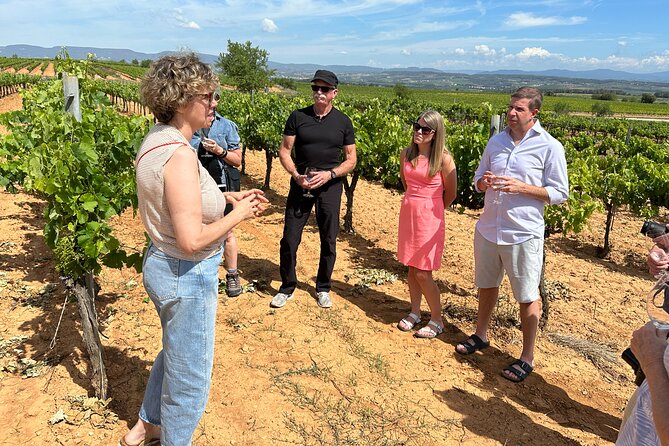 Wine Tasting in Three Boutique Wineries Tour - Max 8 people - Price, group size, and overall value