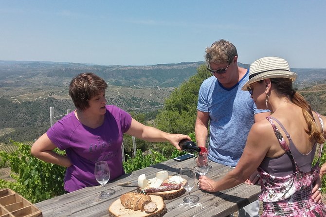 WINE TOUR PRIORAT: Visit 2 Top Wineries, Wine Tasting & Gourmet Lunch - Key points to know before booking